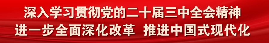 以成绩彰显, 全面总结参