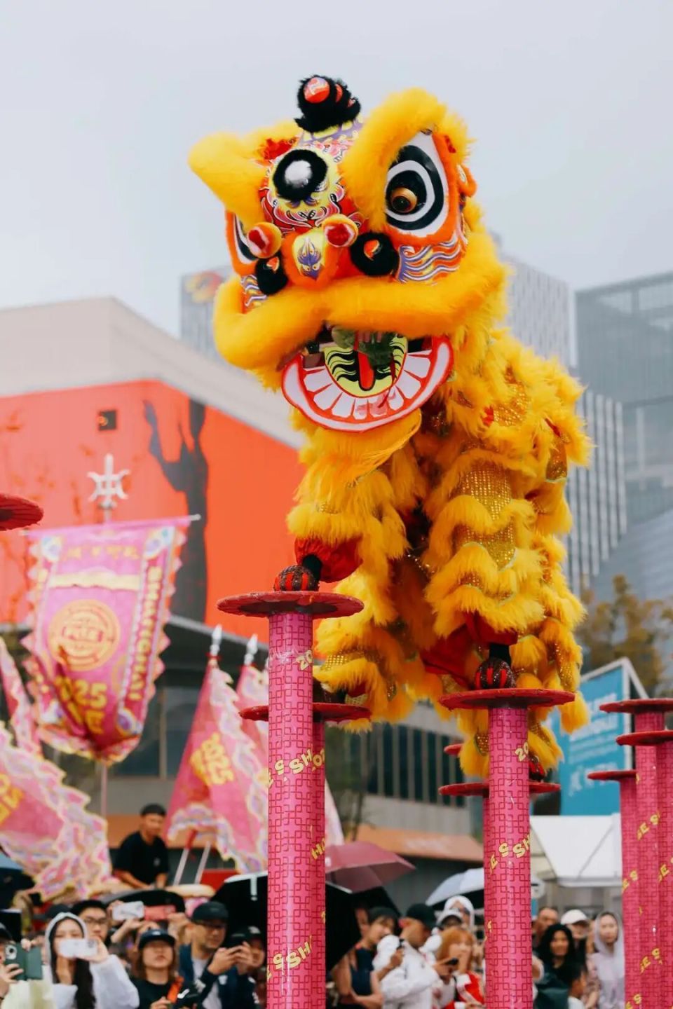 区的, 多元互动打, 免费开放的 区的, 多元互动打, 免费开放的