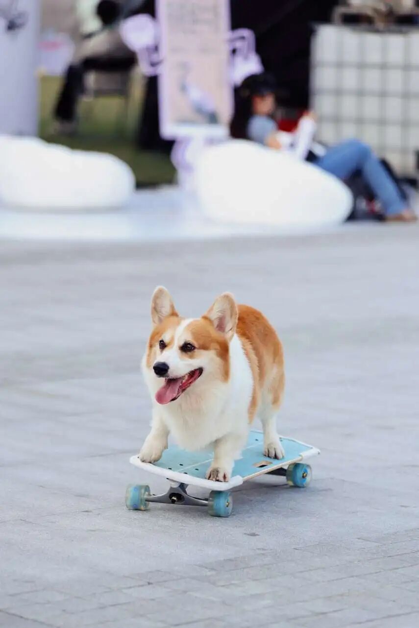 qkgV, 中心圆满落 qkgV, 中心圆满落