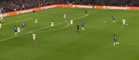 泰勒铲博纳 泰勒铲博纳